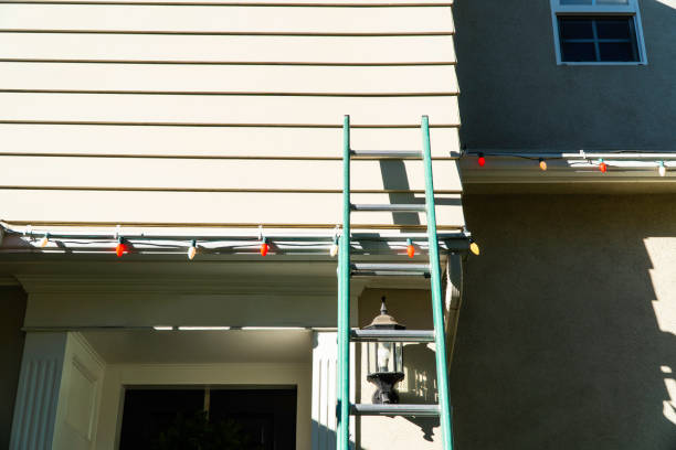 Best Siding Painting and Refinishing  in , AZ