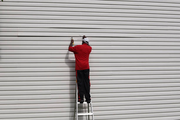 Best Custom Trim and Detailing for Siding  in , AZ