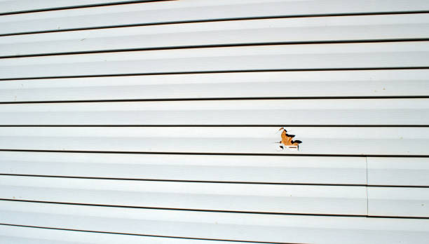 Best Wood Siding Installation  in , AZ